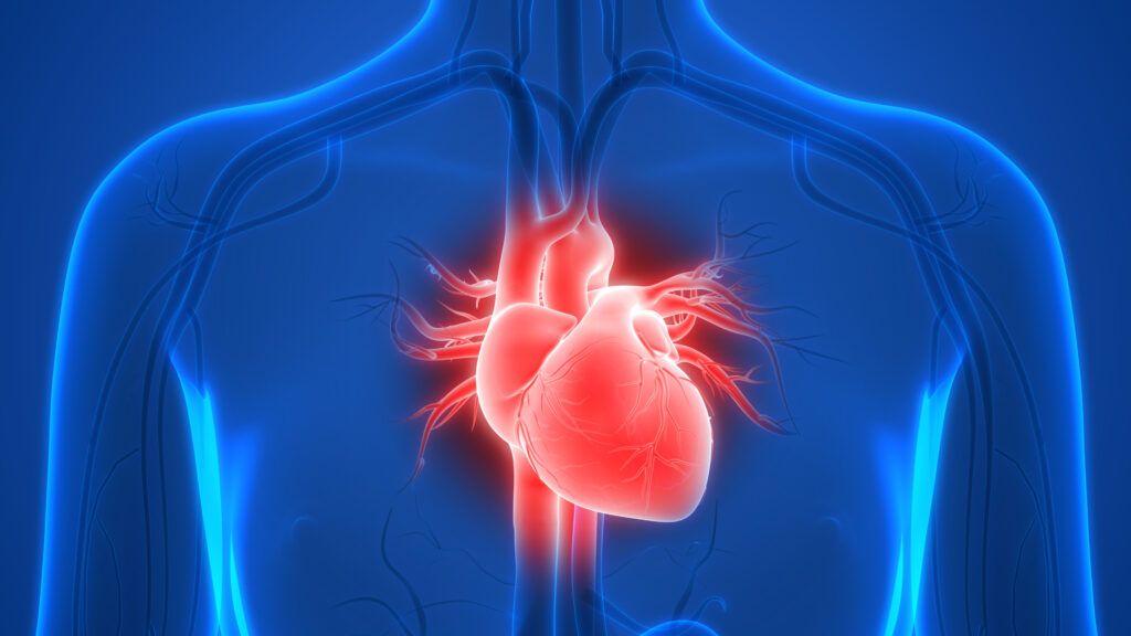Call for papers! Special Edition on Cardiometabolic Diseases